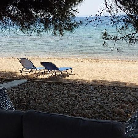 "Pine&Sea" Kastamoniti Beach Nikiti  Extérieur photo