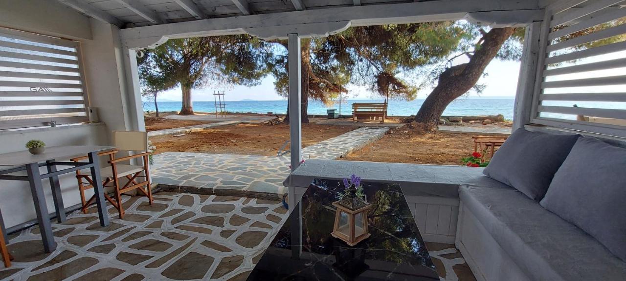 "Pine&Sea" Kastamoniti Beach Nikiti  Extérieur photo