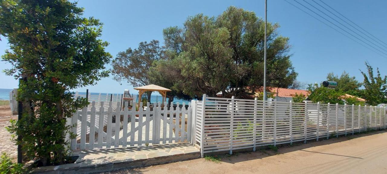 "Pine&Sea" Kastamoniti Beach Nikiti  Extérieur photo