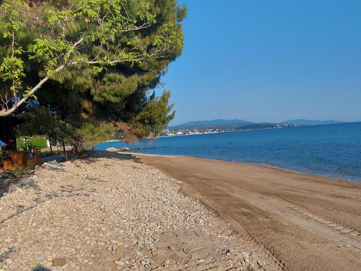 "Pine&Sea" Kastamoniti Beach Nikiti  Extérieur photo