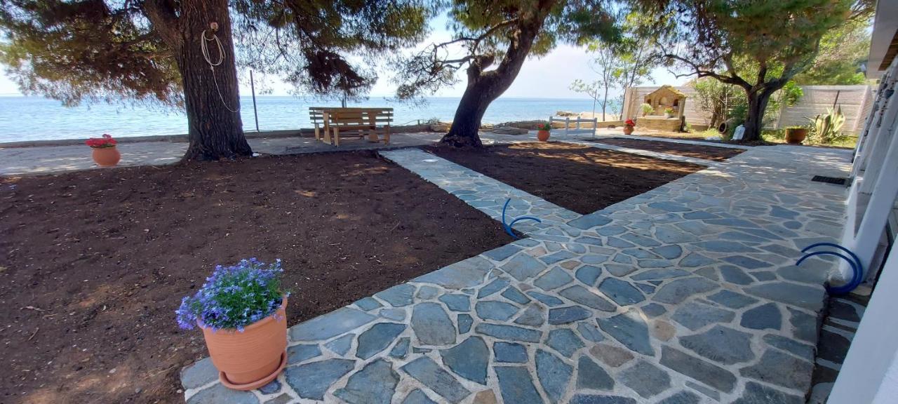 "Pine&Sea" Kastamoniti Beach Nikiti  Extérieur photo