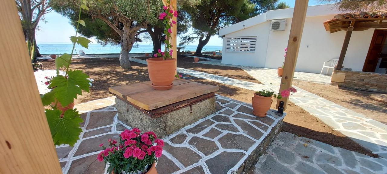 "Pine&Sea" Kastamoniti Beach Nikiti  Extérieur photo